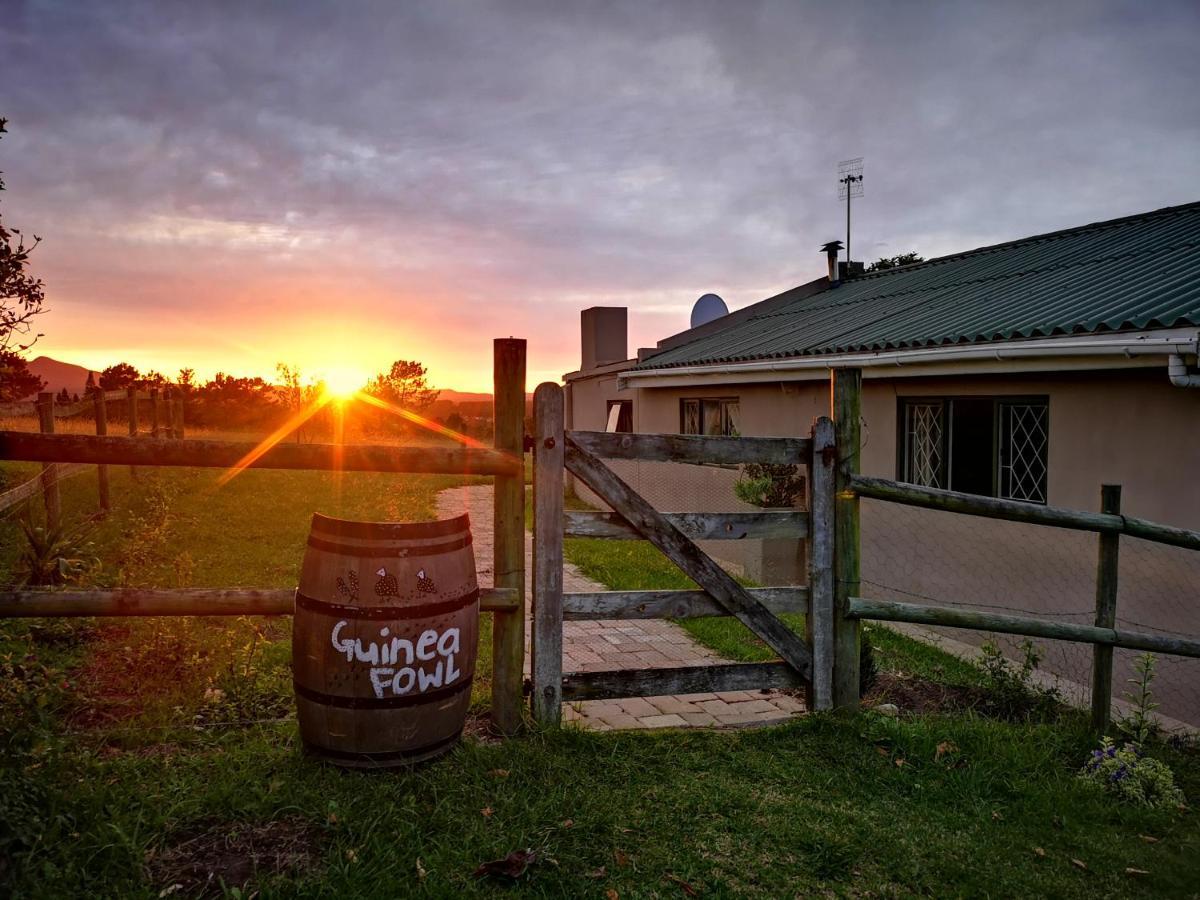 Вілла Fernhill Guest Farm Книсна Екстер'єр фото