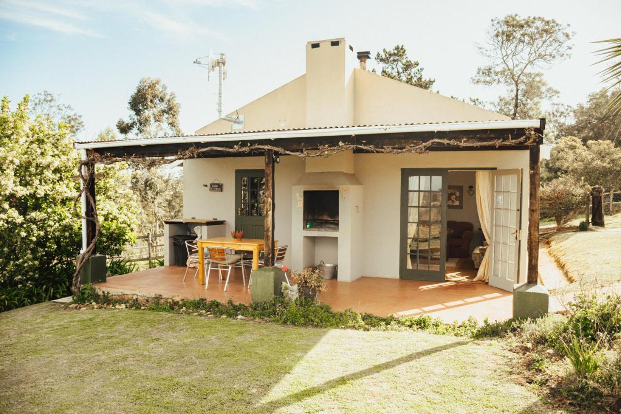 Вілла Fernhill Guest Farm Книсна Екстер'єр фото