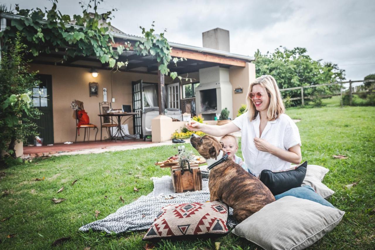 Вілла Fernhill Guest Farm Книсна Екстер'єр фото