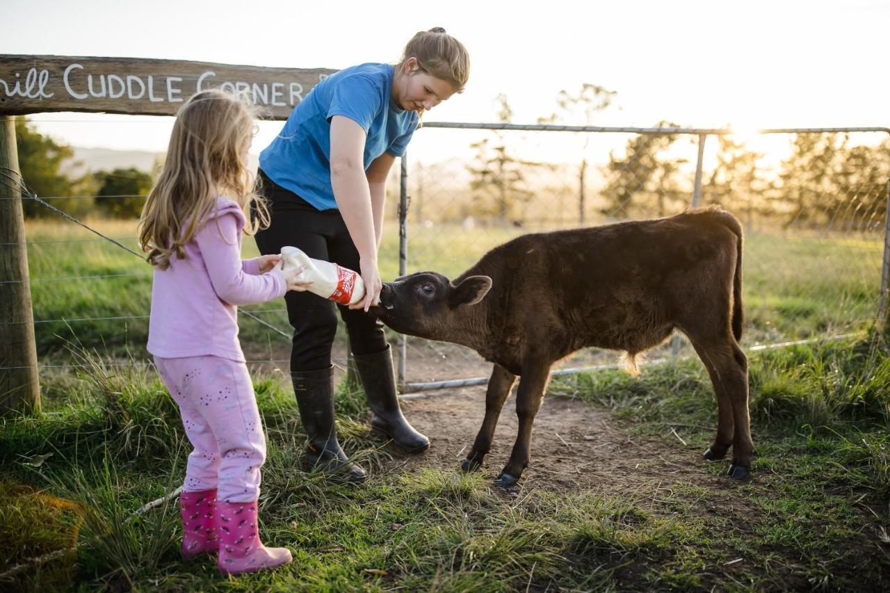 Вілла Fernhill Guest Farm Книсна Екстер'єр фото