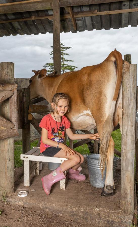 Вілла Fernhill Guest Farm Книсна Екстер'єр фото