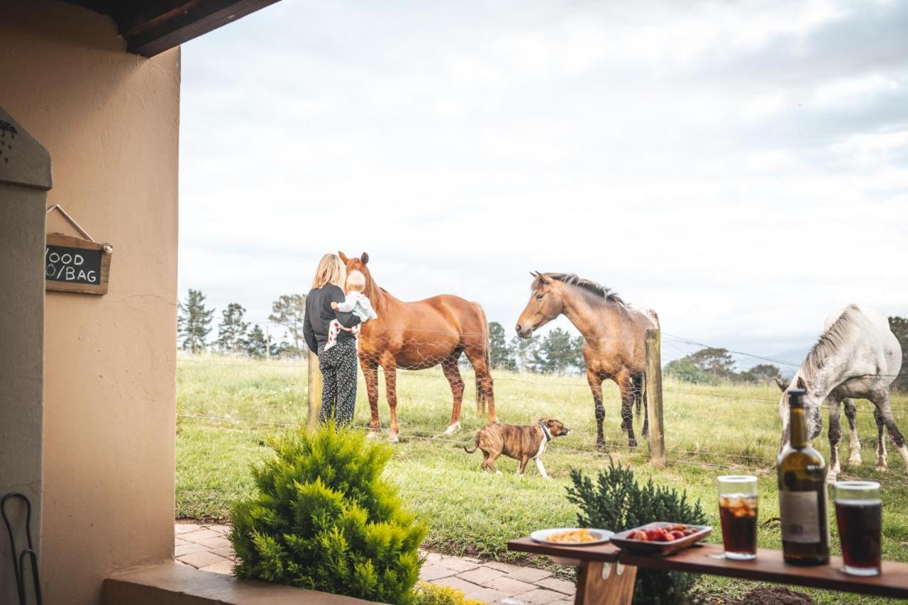 Вілла Fernhill Guest Farm Книсна Екстер'єр фото