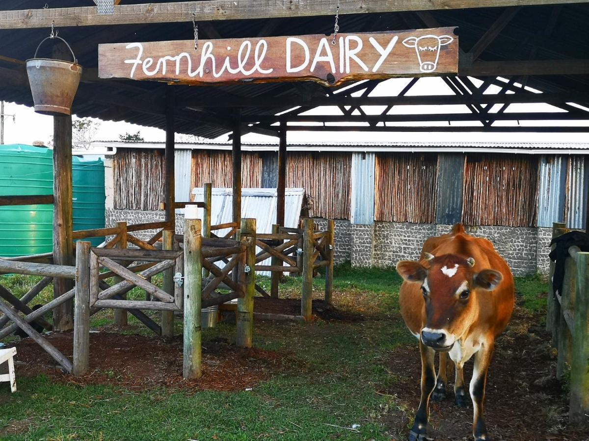 Вілла Fernhill Guest Farm Книсна Екстер'єр фото