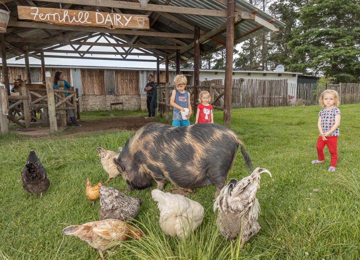 Вілла Fernhill Guest Farm Книсна Екстер'єр фото
