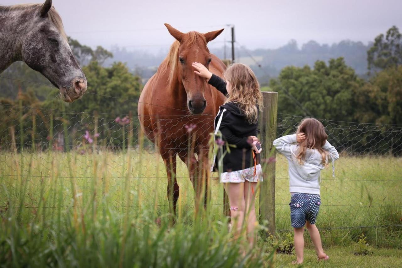 Вілла Fernhill Guest Farm Книсна Екстер'єр фото