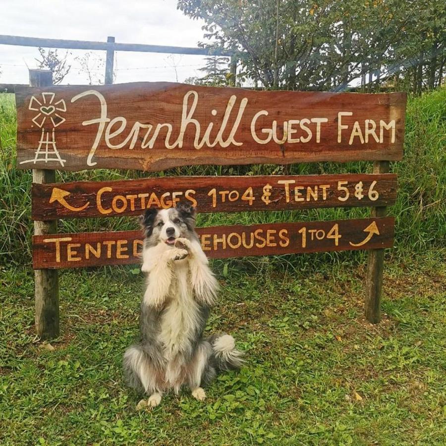 Вілла Fernhill Guest Farm Книсна Екстер'єр фото